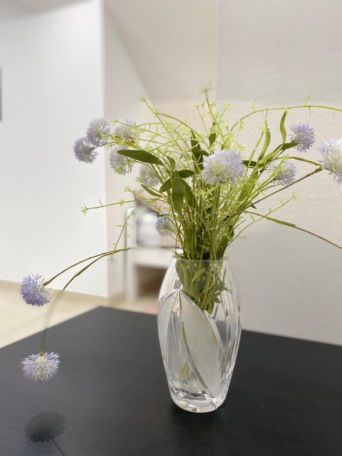 Apartma Azurre Postojna Bagian luar foto
